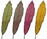 herbst_blaetter