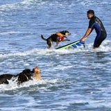 ReutersFTP-2010_05_2_302