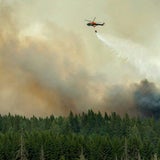 Gigantischer Waldbrand bedroht Schweden