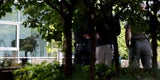 Junger Elch verirrte sich in Bürohaus