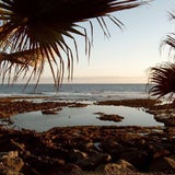 teneriffa1_sxc