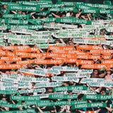 17.400 Zuschauer beim letzten Match in St. Hanappi