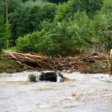 Bild6