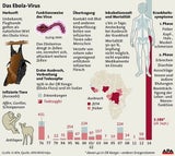 So gefährlich ist Ebola