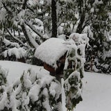 Das war Österreich vor einem Jahr