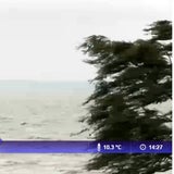 So bläst der Wind am Neusiedlersee