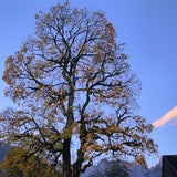 So schön ist der Herbst in den Bergen