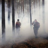 -2-Kopie von APAFTP-02272858
