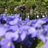 Traumhafter Frühlingstag in Wien