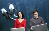 Brauer und Pschill spielen ab 15. Mai 'Alle sieben Wellen' (Wr. Kammerspiele).