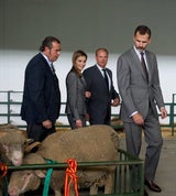 Königin Letizia & König Felipe: Auf Tuchfühlung mit Pferd & Co.