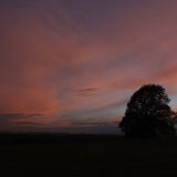 Diese Bilder hat der Föhn gemalt