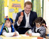 Prince Harry auf Besuch Chile