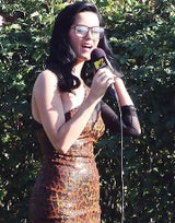 perry4
