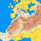 So kommen Tonnen an Sahara-Sand