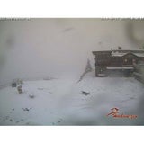 hochwurzen