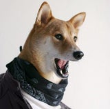Menswear Dog