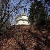 rohrbach_03_rubra