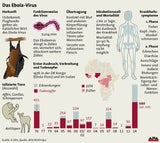 Ebola: WHO setzt auf nicht zugelassene Mittel