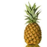 ananas_sxc