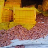 Unfall: Putenfleisch blockiert A1