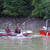 Feuerwehr rettet Pferd aus der Traun