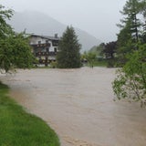 Unwetter: Baum stürzte in Kärnten auf Bahnlinie
