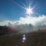 So schön kann Nebel sein