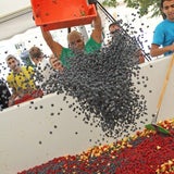 Obstsalat-Weltrekord in Wien