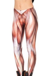 Anatomie-Trend