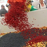 Obstsalat-Weltrekord in Wien