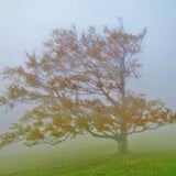 Österreich im Herbst