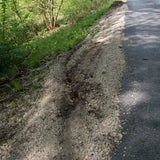 Mädchen von Baumstamm überrollt