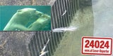 So brutal tötete die Eisbärin den Pfau