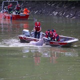 Feuerwehr rettet Pferd aus der Traun