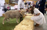 Herzogin Kate & Prinz William machen Australien unsicher