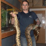 Riesen-Python im Mühlviertel gefunden