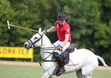 Prinz Harry führt sein Polo-Team zum Sieg