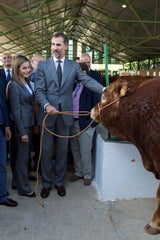 Königin Letizia & König Felipe: Auf Tuchfühlung mit Pferd & Co.