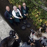 2014 wird ein schwieriges Wein- Jahr