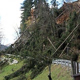 Orkanschäden in Österreich