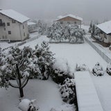 Das war Österreich vor einem Jahr