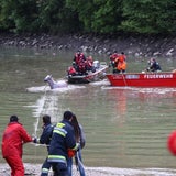 Feuerwehr rettet Pferd aus der Traun