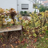 Bursch nach Flucht gelähmt