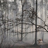 -3-ReutersFTP-2010_08_0_457