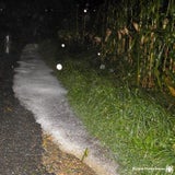 Unwetter in der Steiermark