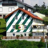 Wohnt hier der größte Rapid-Fan?