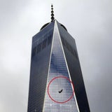 WTC: Fensterputzer stürzen ab