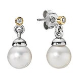 Ohrringe Schmuck