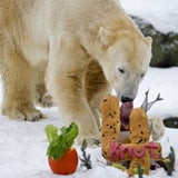 Happy birthday, Knut!